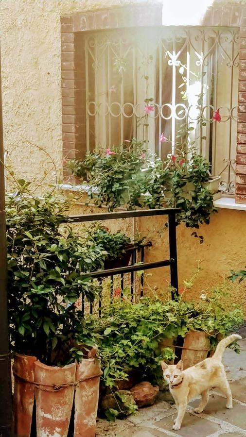 Casa Gaia Apartment Trivigno Екстериор снимка